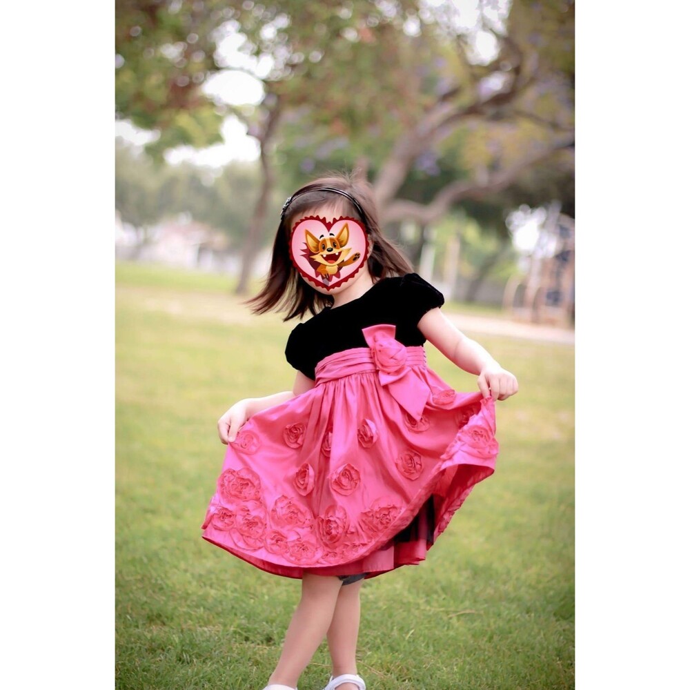 Bonnie Baby Dress 24 Month Ruffled Puffy